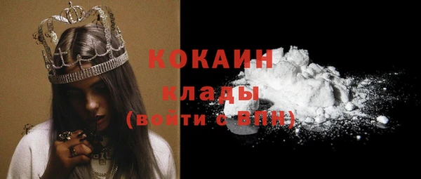 индика Алексеевка