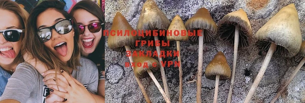 спайс Алзамай