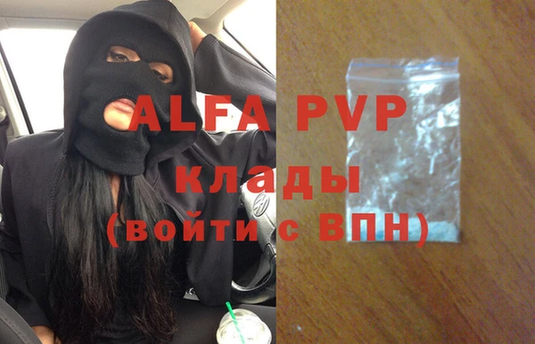 мяу мяу мука Абаза