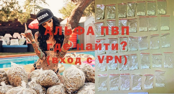 мяу мяу мука Абаза