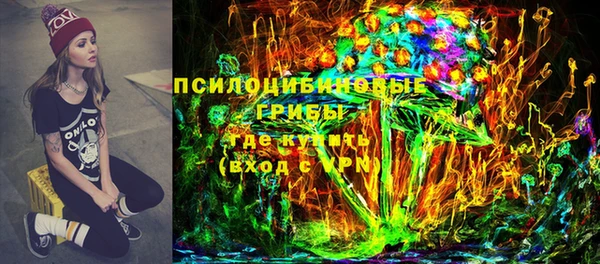 мяу мяу мука Абаза