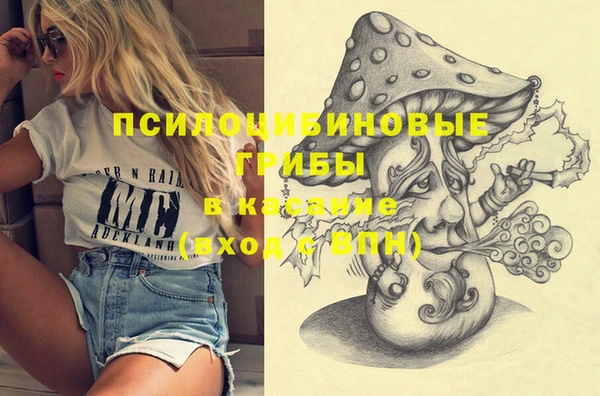 спайс Алзамай