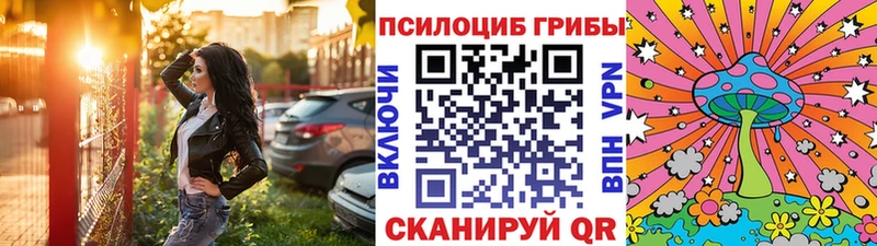 Псилоцибиновые грибы прущие грибы  Тбилисская 